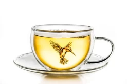 Creano 6er-Set Thermo-Tasses "Hummi" Für Tee/Latte Macchiato, Doppelwandig, Mit Kolibri-Muster | 250ml In Exklusiver Geschenkpackung -Pokalserie 0a71035cd8e453766d17f31904c8be3f