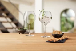 Leonardo GK/2 Gingläser 630ml Gin 14 Leonardo GK/2 Gingläser 630ml Gin -Pokalserie aa141246be7a753b8293b6f4a759948e