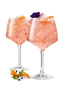 Holmegaard Perfection - Gin Gläser 90 Cl, Klar 2 Stück