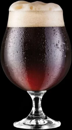 KROSNO Elite Dunkel Stout Biergläser, 6er-Set, 500 Ml -Pokalserie d833a85f0c6aadf2ba2812a780639688